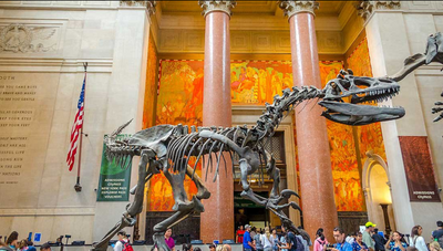 ​Dino-Centric Travel: Exploring the World's Top Dinosaur Sites