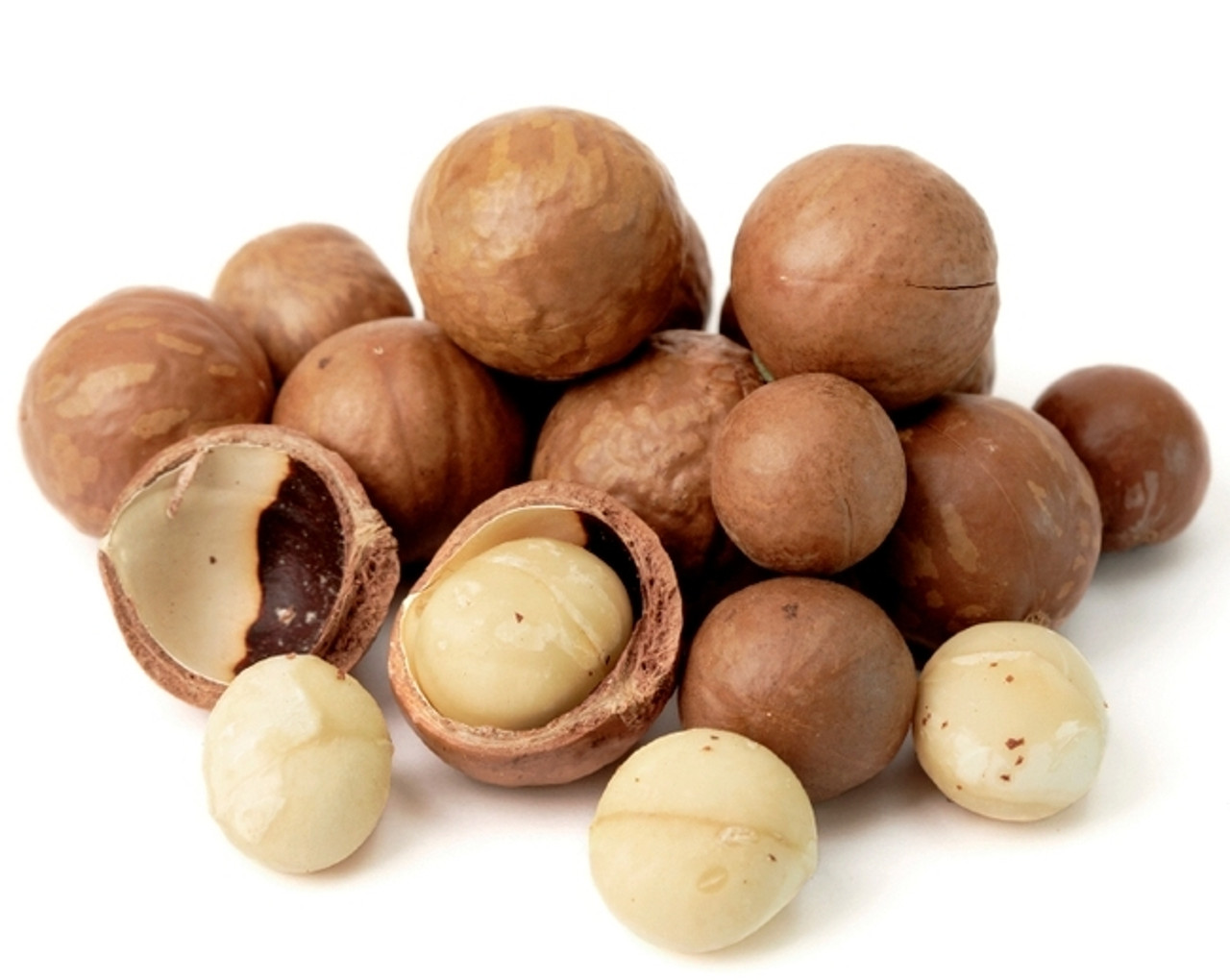 Bulk Macadamia Nuts