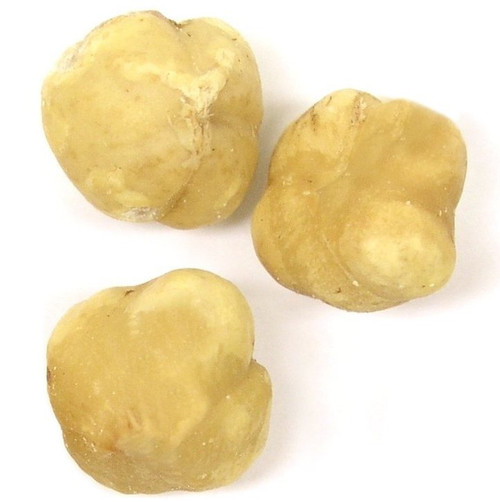 Passover Roasted Unsalted Hazelnuts (Filberts) Passover Roasted Unsalted Hazelnuts (Filberts)