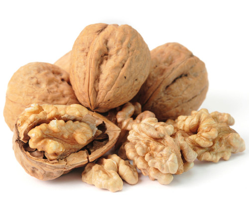 Passover Walnuts in Shell - 1 LB Bag Passover Walnuts in Shell - 1 LB Bag