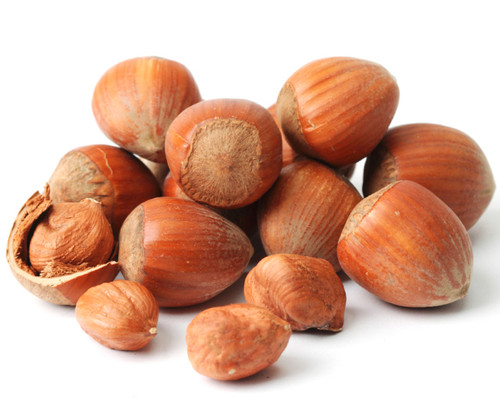 Passover Hazelnuts (Filberts) in Shell - 1 LB Bag Passover Hazelnuts (Filberts) in Shell - 1 LB Bag