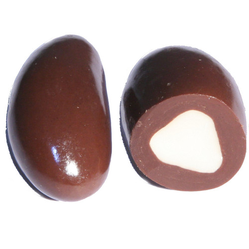 Passover Chocolate Brazil Nuts