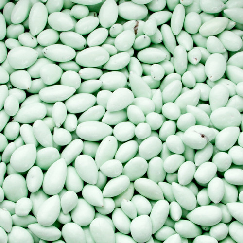 Pastel Green Chocolate Covered Sunflower Seeds