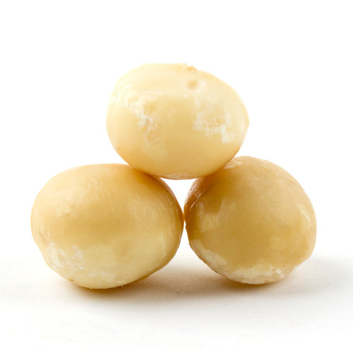 Passover Roasted Unsalted Macadamia Nuts Passover Roasted Unsalted Macadamia Nuts