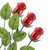 Non-Dairy Red Chocolate Roses - 12-Pack Non-Dairy Red Chocolate Roses - 12-Pack