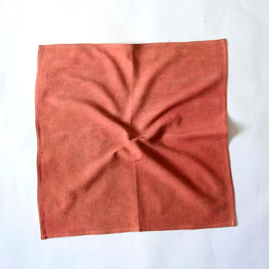 Solid Orange Cloth Napkin | Pinkish SAMPLE