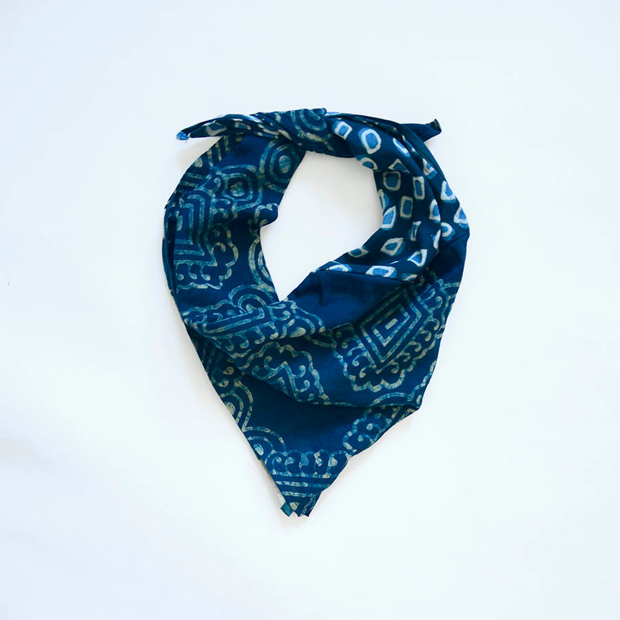 savita bandana