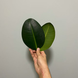 How to Spot Greenwashing in Fashion