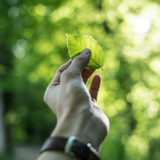 Ichcha's Commitment to Sustainability: How We Are Making a Difference Ichcha's Commitment to Sustainability: How We Are Making a Difference