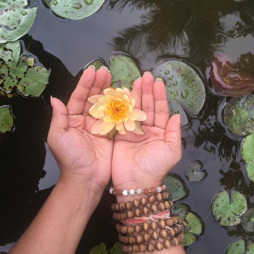 What can I expect in a 10 day course at Vipassana Meditation Retreat