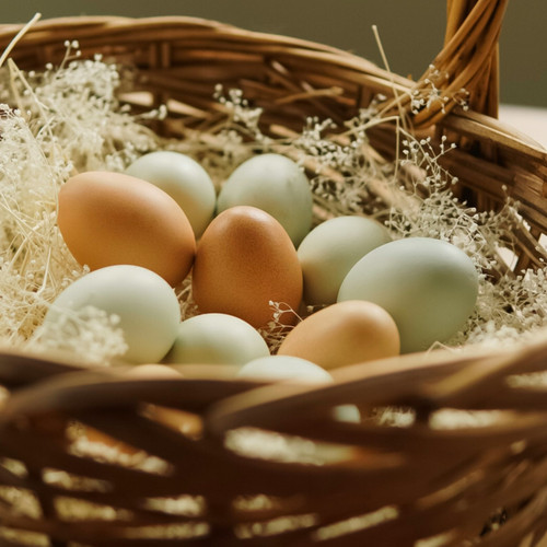 Ecofriendly Easter: 7 Sustainable Ways to Celebrate Easter This Year