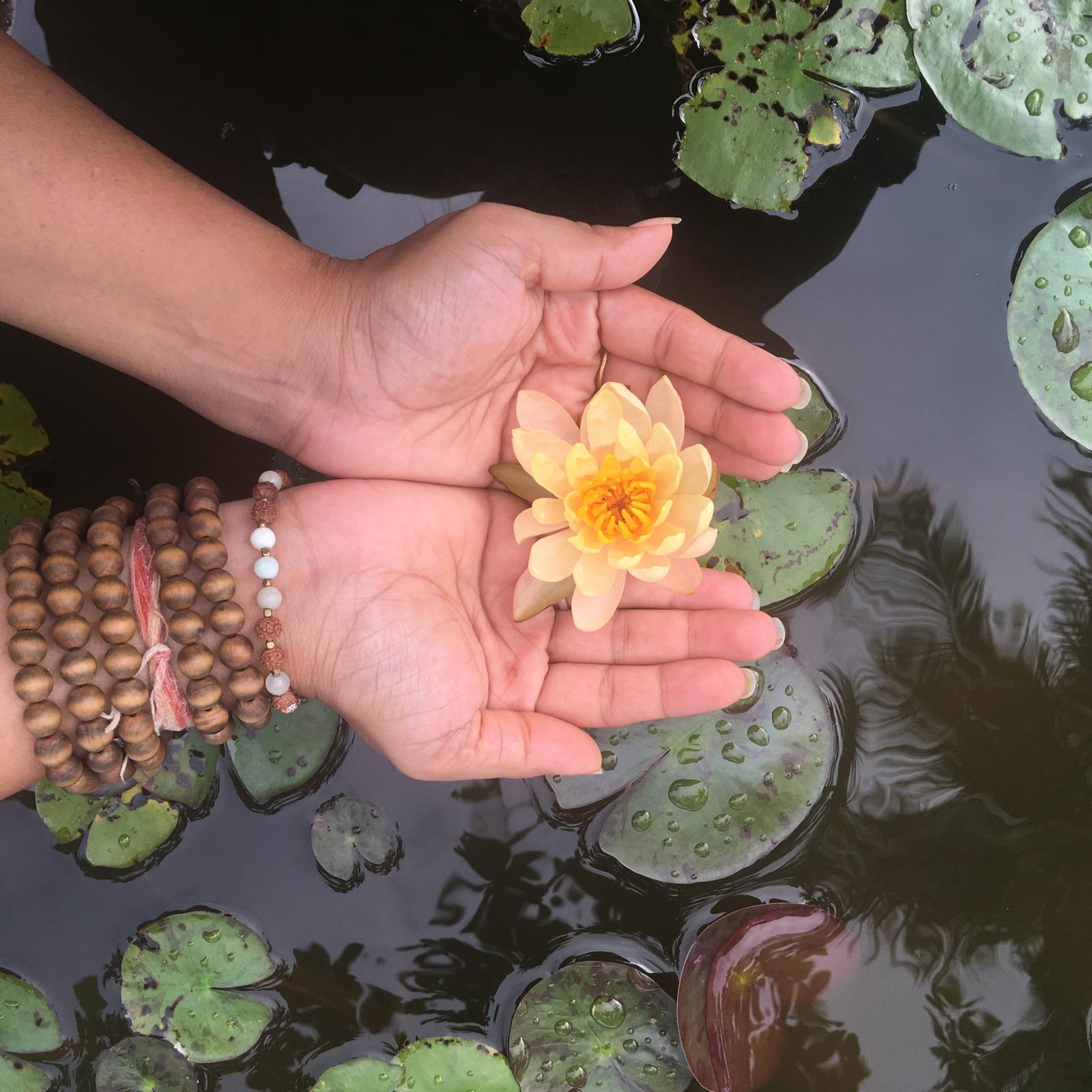 What can I expect in a 10 day course at Vipassana Meditation Retreat