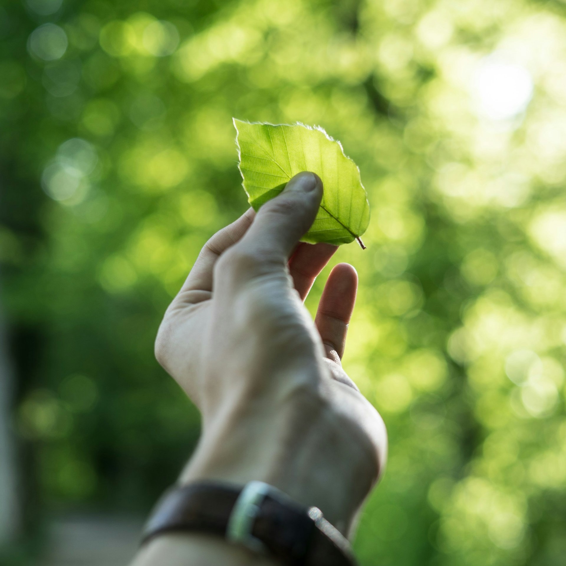 Ichcha's Commitment to Sustainability: How We Are Making a Difference
