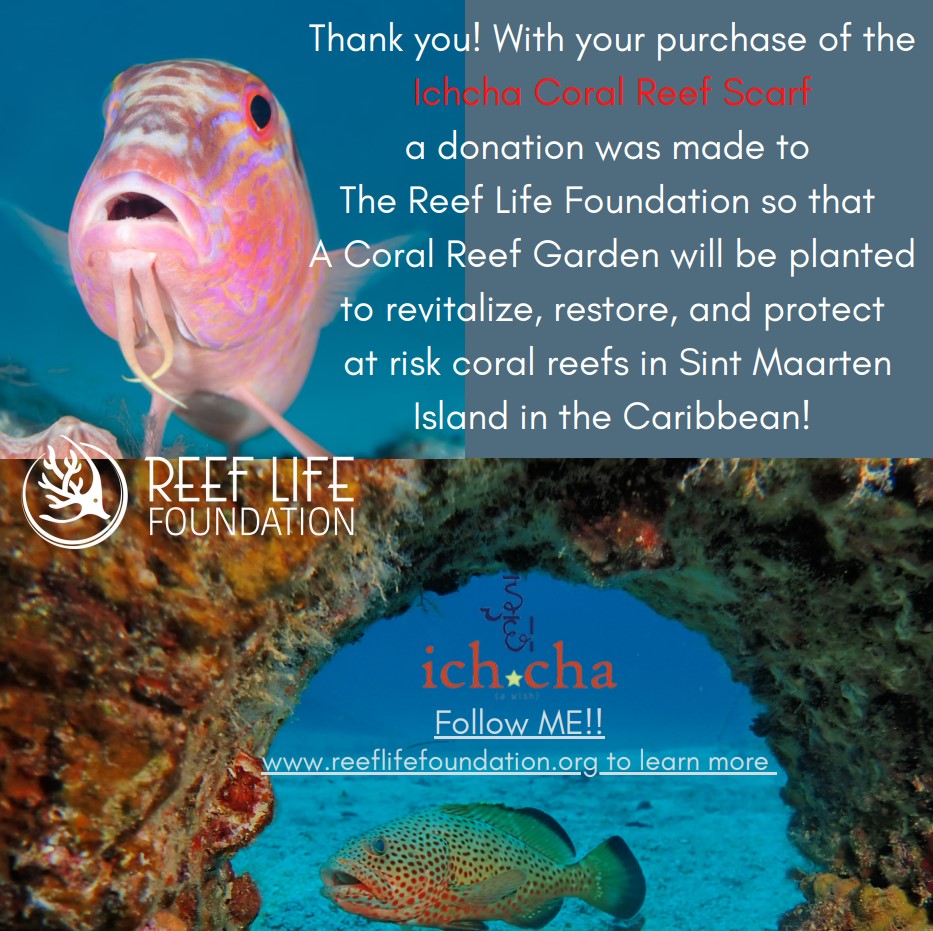 coral-reef-cert.jpg