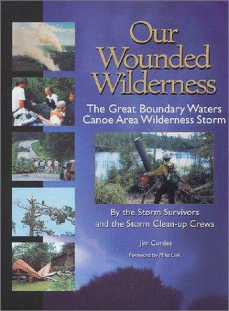 Book. Our Wounded Wilderness
