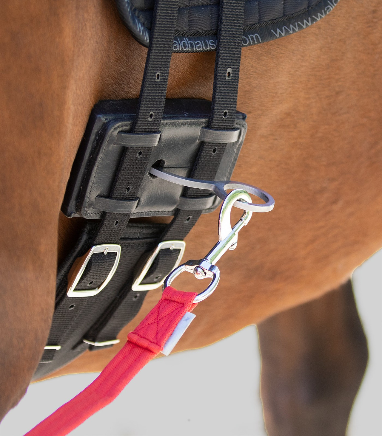 Vienna Reins - The City Barn Store