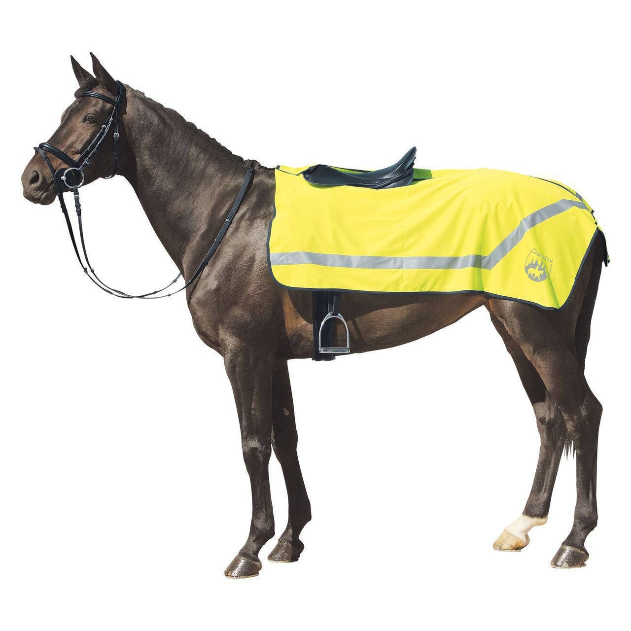 For the horse Horse Rugs and Accessories Quarter Sheets The City