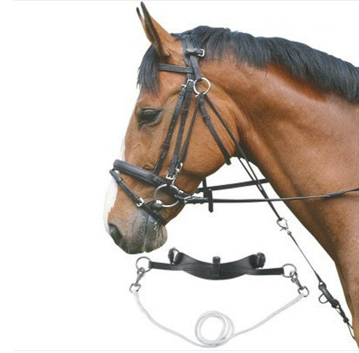 Chambon The City Barn Store