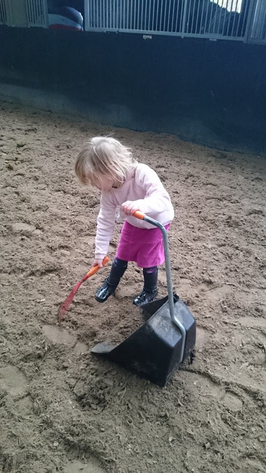 GIANT Pooper Scooper The City Barn Store