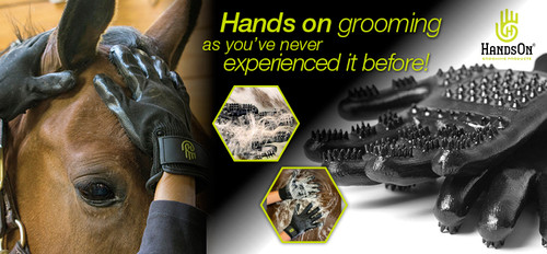 HandsOn & BF Grooming Gloves 