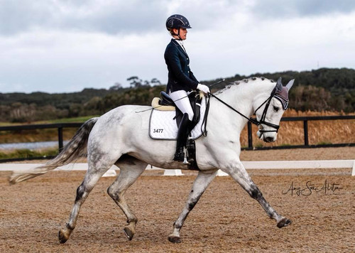 White Gruner Saddle Blanket