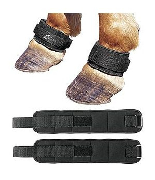 Horse Weight Bands The City Barn Store