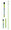 Lime Green Tour Sticks