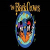 The Black Crowes