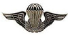 56714 GUYANA PARACHUTE BADGE