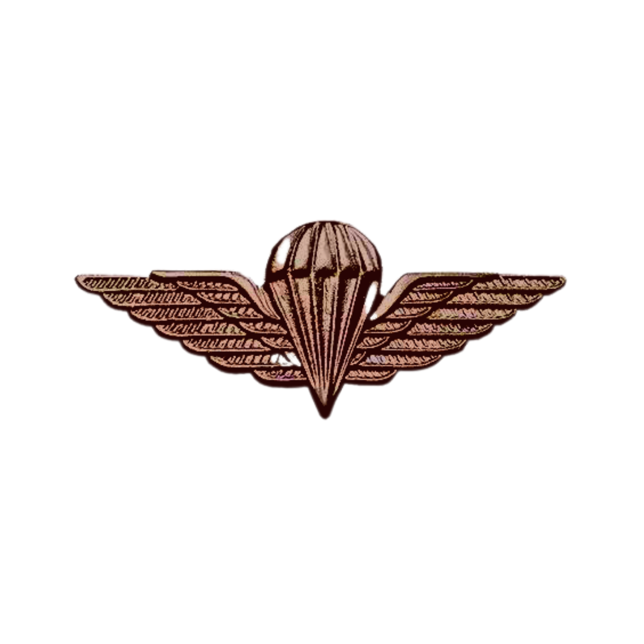 56746 IRELAND PARACHUTE BADGE