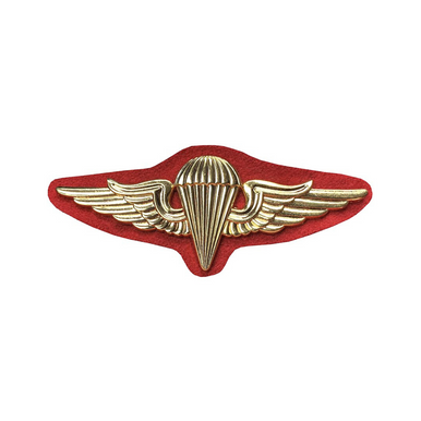 BADGE バッヂ ハイロウズ 特製ステッカー&ポスター付き！ 2025年