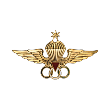 56739 JORDAN PARACHUTE BADGE