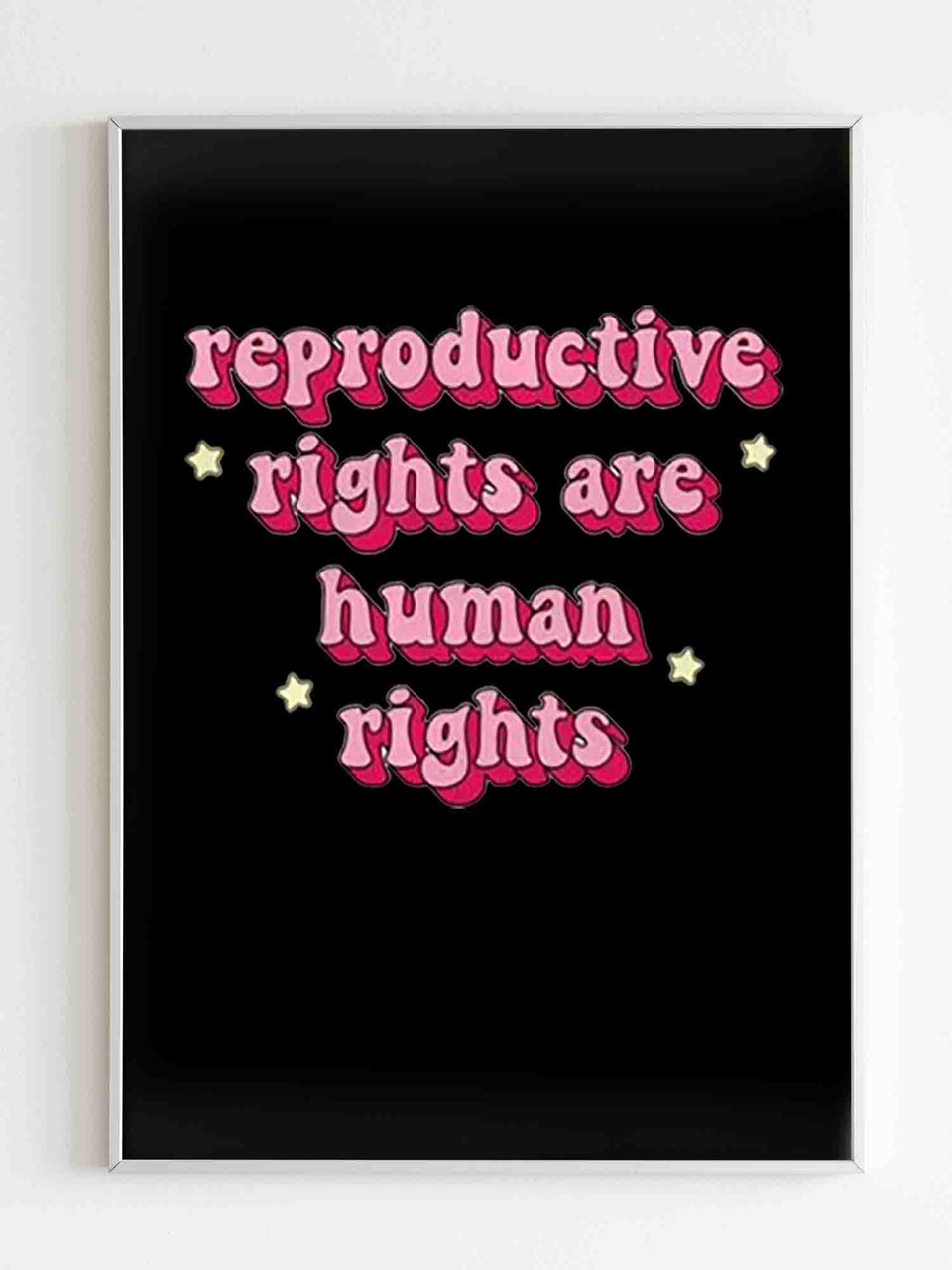 Reproductive Rights Are Human Rights Poster 