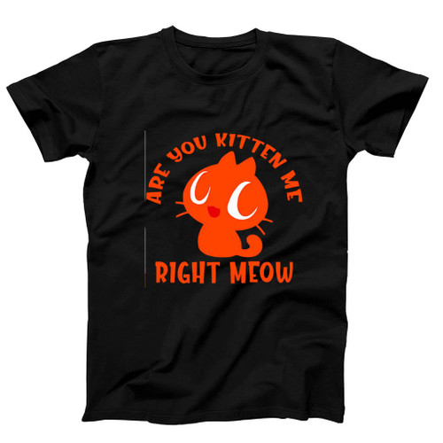 Are You Kitten Me Right Meow Are Man's T-Shirt Tee