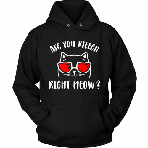Are You Kitten Me Right Meow Cat Art Unisex Hoodie