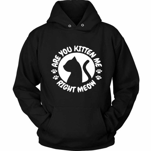 Funny Gift Cat Lovers Are You Kitten Me Right Meow Unisex Hoodie