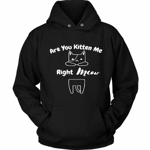 Are You Kitten Me Right Meow Classic Unisex Hoodie