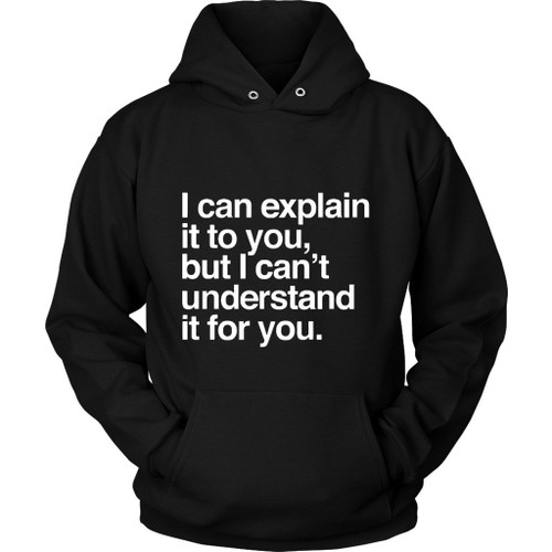 I Can Explain It To You Unisex Hoodie