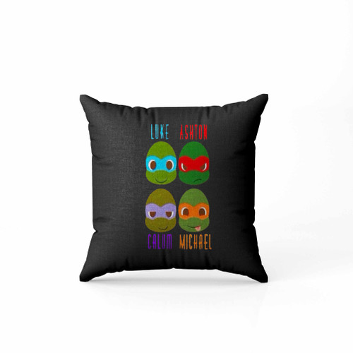 Teenage Mutant Ninja Turtles Funny Face 2 Hnd Pillow Case Cover