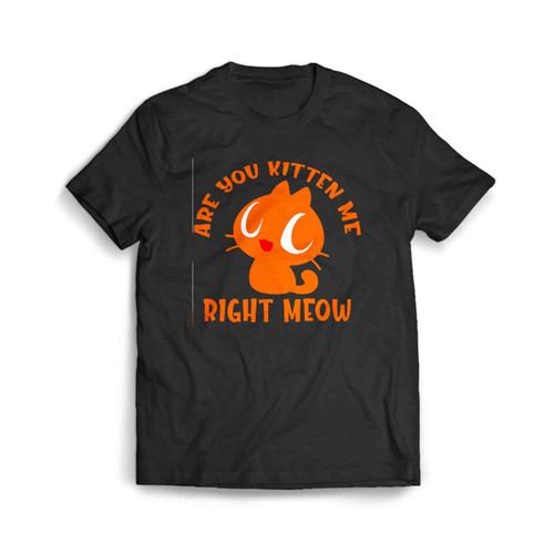 Are-You-Kitten-Me-Right-Meow-20 Men's T-Shirt