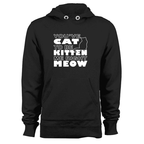 Are You Kitten Me Right Meow Vintage Hoodie
