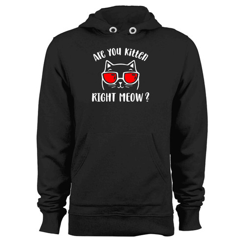 Are You Kitten Me Right Meow Cat Vintage Hoodie
