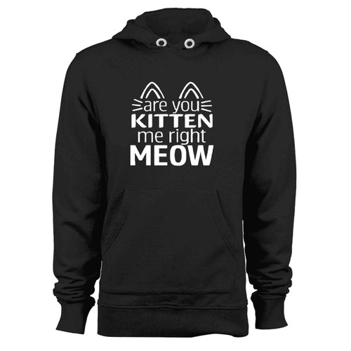 Are You Kitten Me Right Meow Mask Vintage Hoodie
