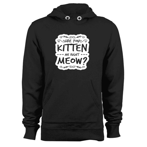 Are You Kitten Me Right Meowm Kitten Me Right Meow Vintage Hoodie