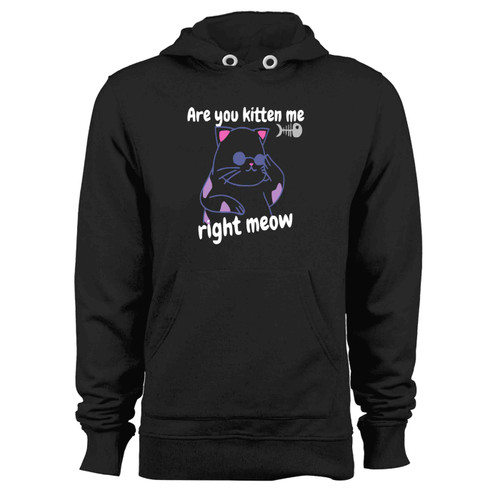 Are You Kitten Me Right Meow 25 Hoodie