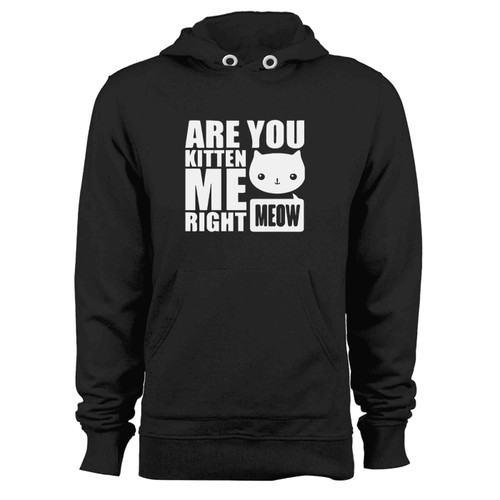 Are You Kitten Me Right Meow 4 Hoodie