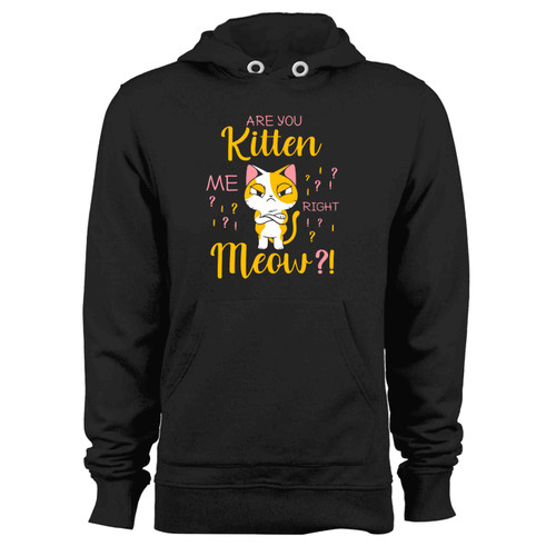 Are You Kitten Me Right Meow Funny Gift For Cat Lovers Hoodie