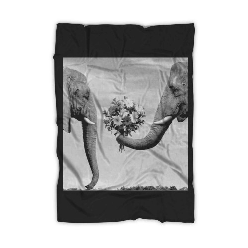Romantic Elephants Giving Blanket Romantic Elephants Giving Blanket