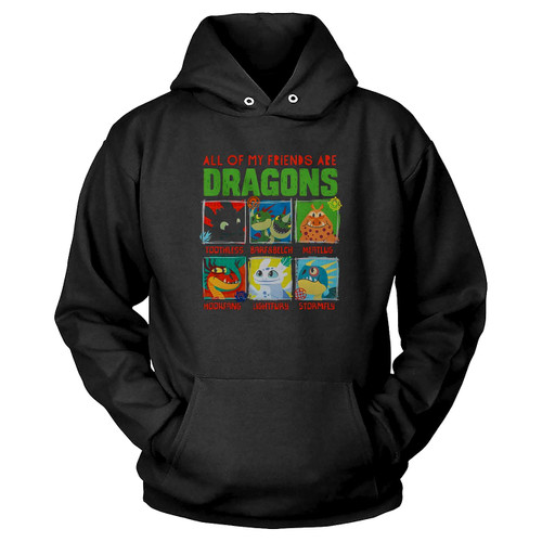 How To Train Your Dragon 3 Hidden Hoodie