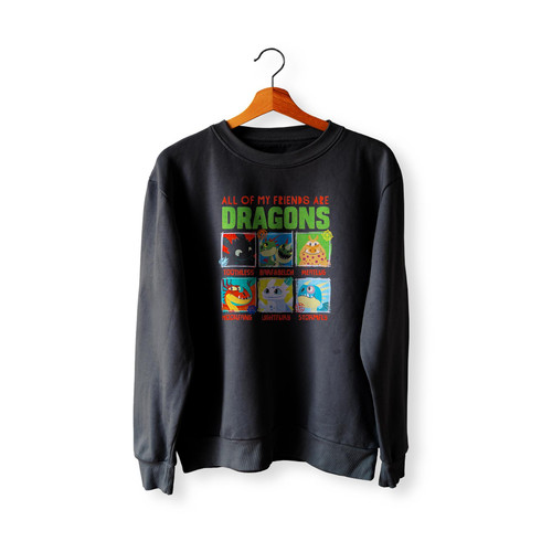 How To Train Your Dragon 3 Hidden  Sweatshirt Sweater